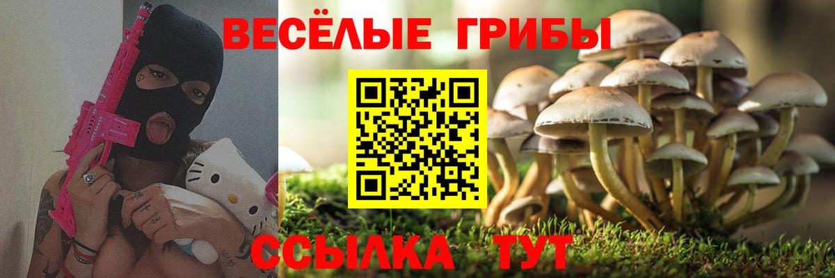 Псилоцибиновые грибы Psilocybe  Галлюциногенные грибы прущие грибы  Балтийск  Вход с VPN 